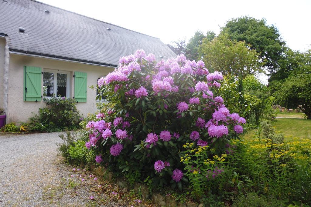 Le Pre De La Lande Acomodação com café da manhã La Chapelle-Sur-Erdre Exterior foto